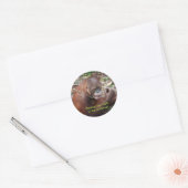 Regenwoud Dieren Floss Tanden Ronde Sticker (Envelop)