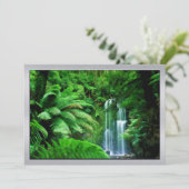 regenwoud en watervallen kaart (Staand voorkant)