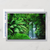 regenwoud en watervallen kaart (Voorkant / Achterkant)