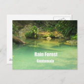 Regenwoud, Guatemala Briefkaart (Voorkant / Achterkant)