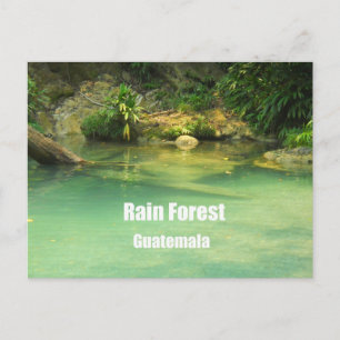 Regenwoud, Guatemala Briefkaart