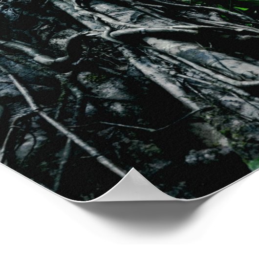 regenwoud in Paradise Print (Hoek)