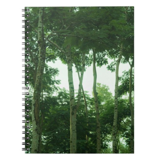 regenwoud notitieboek (Voorkant)