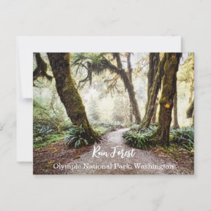 Regenwoud · Olympic National Park, Washington Briefkaart