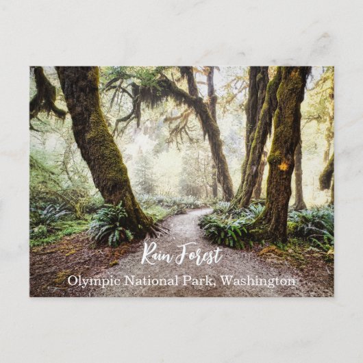 Regenwoud · Olympic National Park, Washington Briefkaart (Voorkant)