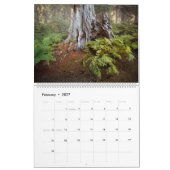 Regenwoud · Olympic National Park, Washington Kalender (Feb 2027)