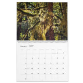 Regenwoud · Olympic National Park, Washington Kalender (Jan 2027)