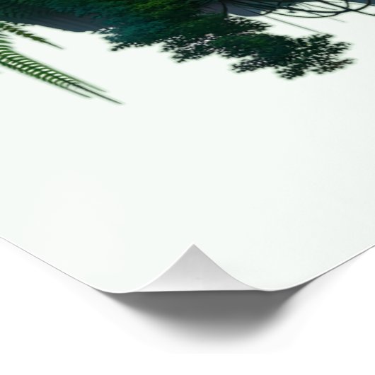 regenwoud perfect poster (Hoek)