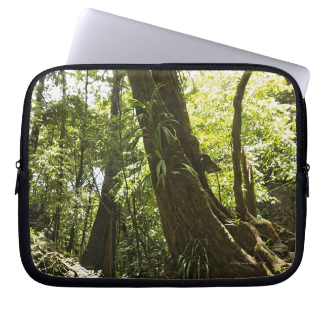 regenwoud uitzicht, Dominica Laptop Sleeve (Voorkant)