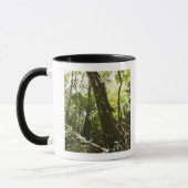 regenwoud uitzicht, Dominica Mok (Links)