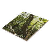 regenwoud uitzicht, Dominica Tegeltje (Zijkant)
