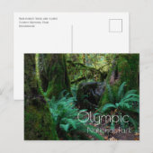 Regenwoudbomen, varens, Olympisch Nationaal Park Briefkaart (Voorkant / Achterkant)