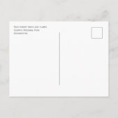 Regenwoudbomen, varens, Olympisch Nationaal Park Briefkaart (Achterkant)