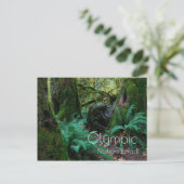 Regenwoudbomen, varens, Olympisch Nationaal Park Briefkaart (Staand voorkant)
