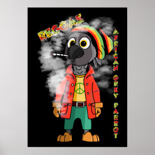 Reggae Afrikaanse grijze papegaai Poster