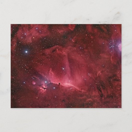 Regio Horsehead Briefkaart (Voorkant)