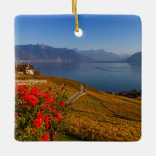 Regio Lavaux, Vaud, Zwitserland Keramisch Ornament