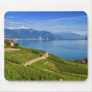 Regio Lavaux, Vaud, Zwitserland Muismat