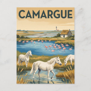 Regionaal natuurpark Camargue Frankrijk Briefkaart