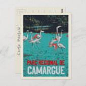 Regionaal park Camargue, Frankrijk, roze flamingos Briefkaart (Voorkant / Achterkant)