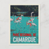 Regionaal park Camargue, Frankrijk, roze flamingos Briefkaart (Voorkant)