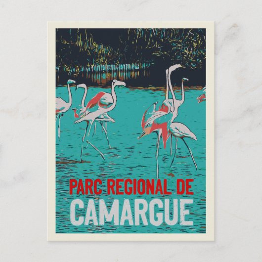 Regionaal park Camargue, Frankrijk, roze flamingos Briefkaart (Voorkant)