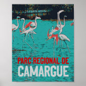 Regionaal park Camargue, Frankrijk, roze flamingos Poster (Voorkant)