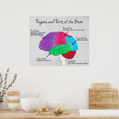 Regio's en delen van het brein poster (Keuken)