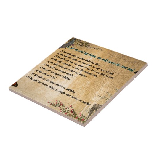 Reglement van ons Parlement Tegeltje (Zijkant)