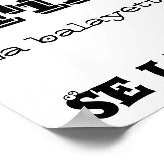 Règles des toilettes poster (Hoek)