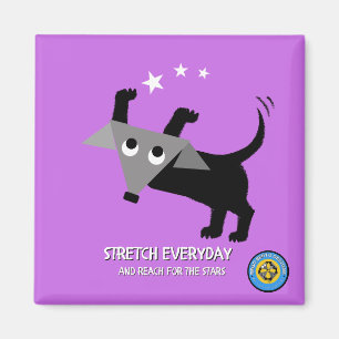 Rego Berto Stretch Everyday, Bereik voor de Sterre Magneet