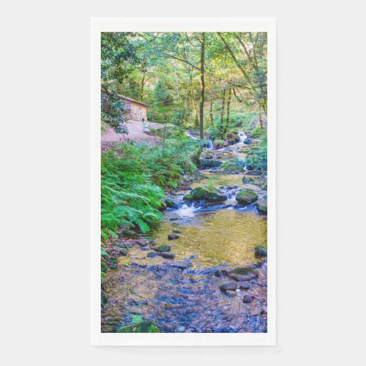 Rego da Armenteira Servet (Voorkant)