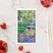 Rego da Armenteira Servet (Insitu)