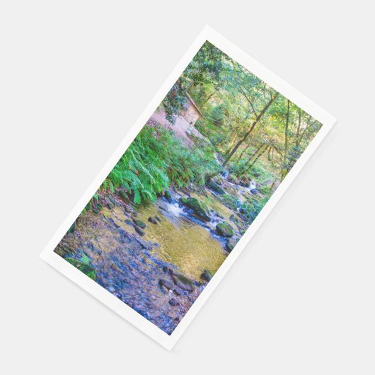 Rego da Armenteira Servet (Hoek)