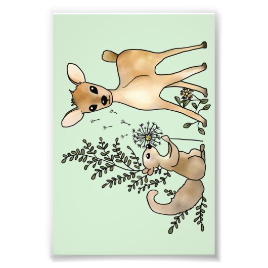 Reh und Eichhörnchen Foto Afdruk (Voorkant)