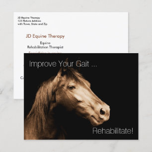 Rehabilitatietherapie Equine Specialist Appoint P Briefkaart