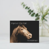 Rehabilitatietherapie Equine Specialist Appoint P Briefkaart (Staand voorkant)