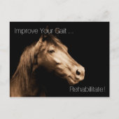 Rehabilitatietherapie Equine Specialist Appoint P Briefkaart (Voorkant)