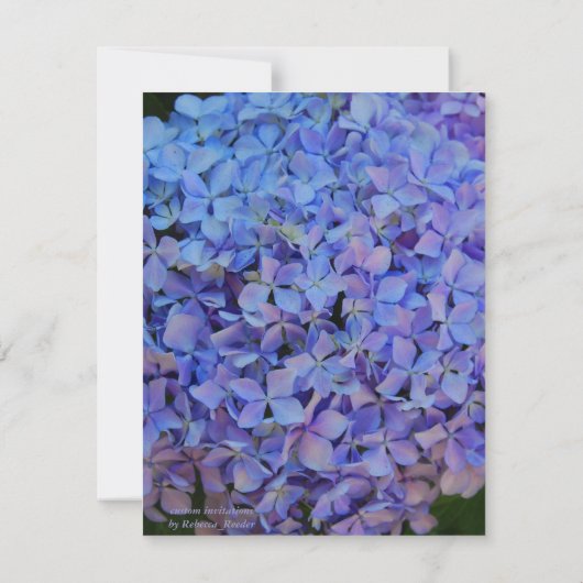Rehearsal Dinner Blue Hydrangea Kaart (Achterkant)