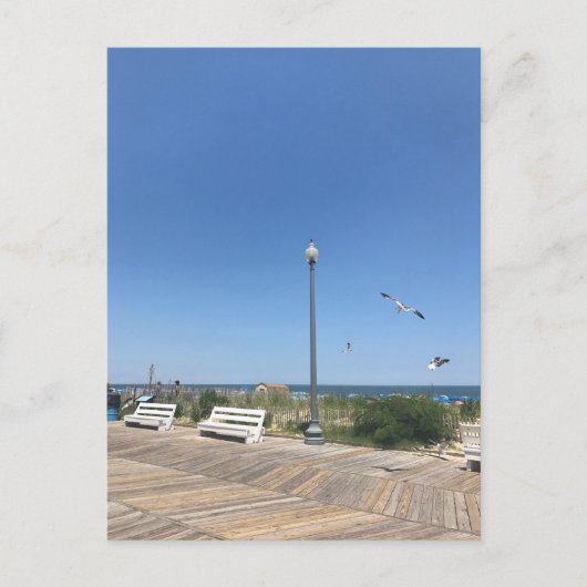 Rehoboth Beach Boardwalk Seagulls Sky Ocean Photo Briefkaart (Voorkant)