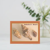 Rehoboth Shells Briefkaart (Staand voorkant)
