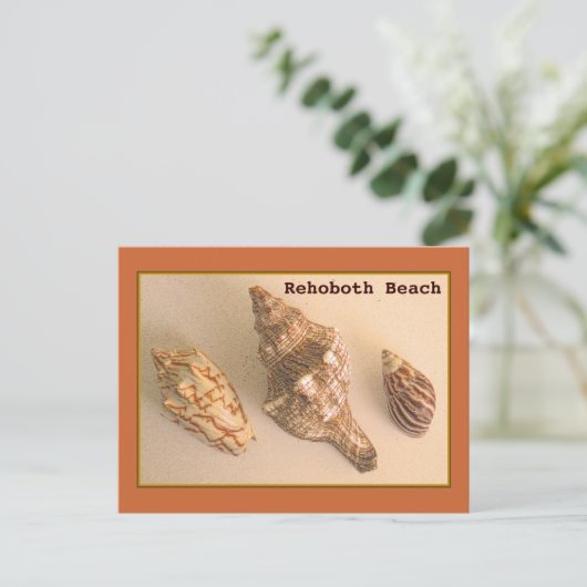 Rehoboth Shells Briefkaart (Staand voorkant)