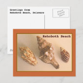 Rehoboth Shells Briefkaart (Voorkant / Achterkant)