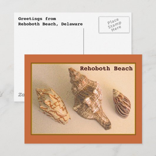 Rehoboth Shells Briefkaart (Voorkant / Achterkant)