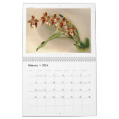 Reichenbachia Orchids 2015 Kalender (Feb 2026)