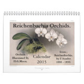 Reichenbachia Orchids 2015 Kalender (Hoes)