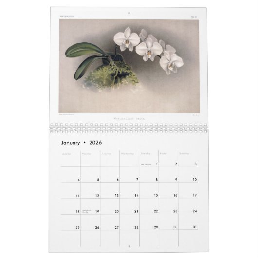 Reichenbachia Orchids 2015 Kalender (Jan 2026)