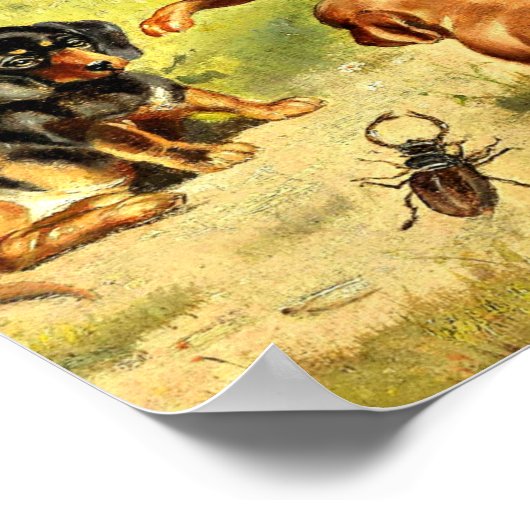 Reichert - Dachshond Puppies aan het spelen Poster (Hoek)