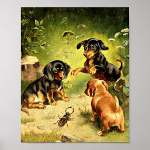 Reichert - Dachshond Puppies aan het spelen Poster