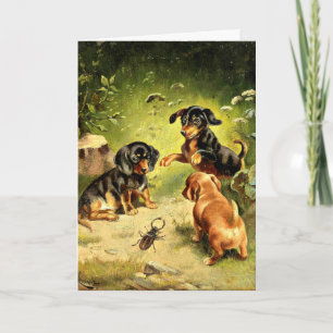 Reichert - Dachshund-Puppies in Play Kaart